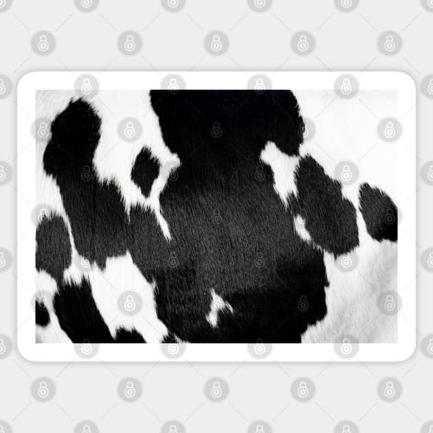 cow fur Sticker by Hispaniola-Fineart